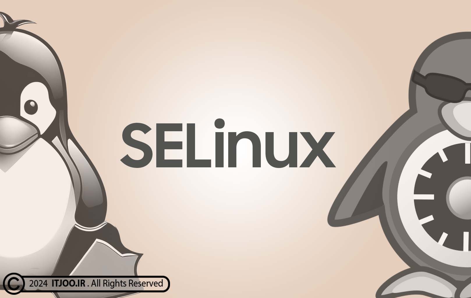 SELinux چیست؟