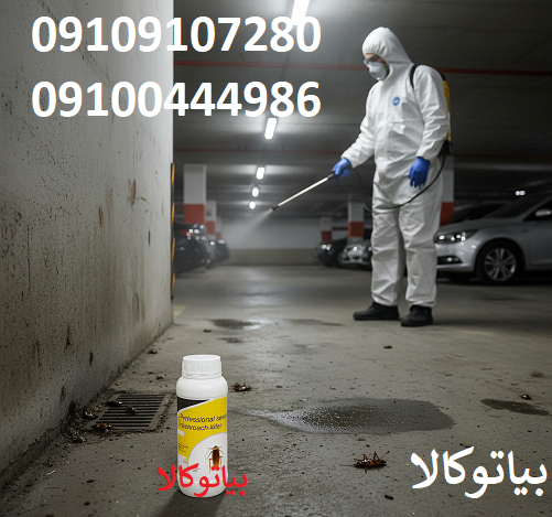 کابوس ریز کابینت: سوسک‌های فاضلابی و کابینتی، مهمان‌های ناخوانده و تهدیدهای خاموش برای سلامت