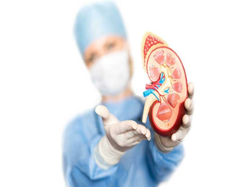 بزرگترین مرکز پیوند کلیه در تهران کدام بیمارستان است؟