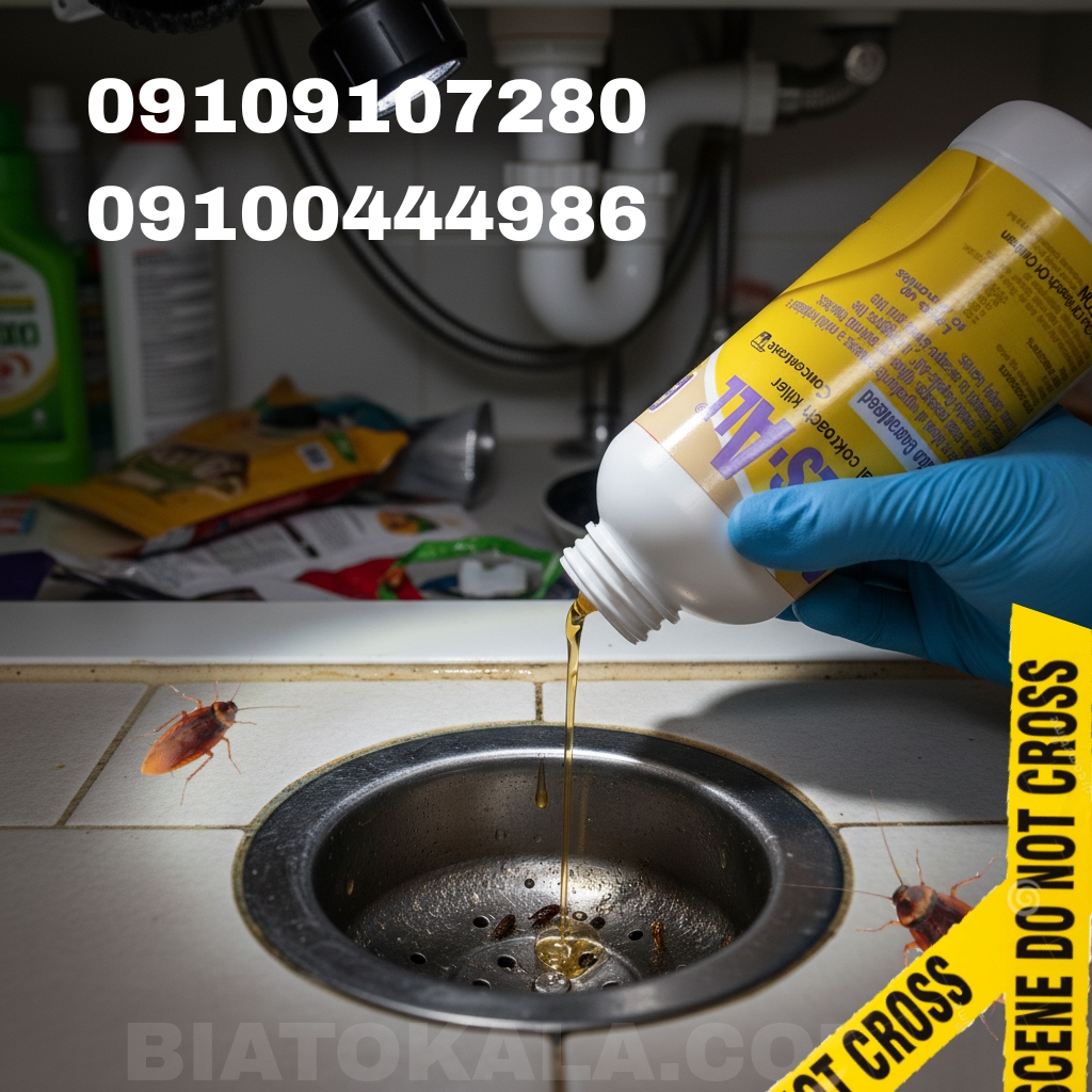 از بین بردن سوسک و تخم سوسک المانی و ریز