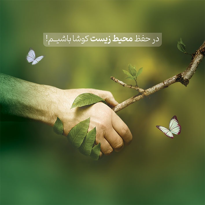 چگونه در حفظ محیط زیست و طبیعت ایفای نقش کنیم؟